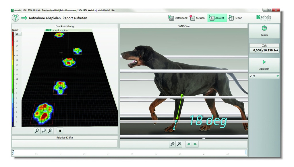 Système de tapis roulant FDM-TPROF CanidGait d'analyse de la position et de la démarche pour chiens