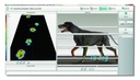 Système de tapis roulant FDM-TPROF CanidGait d'analyse de la position et de la démarche pour chiens