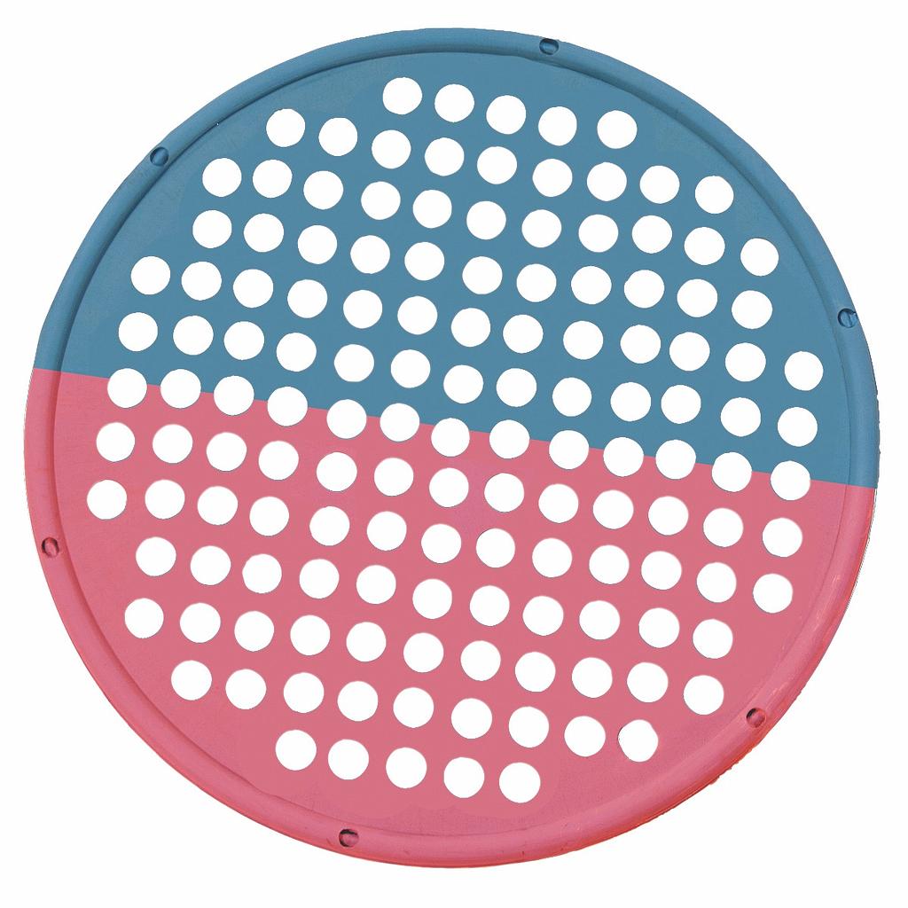 [100-756] Disque d'exercice multi-résistance Web (Rouge et Bleu)