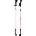 Activator walking pole set