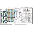 Module Stance Analysis software for fixed plate