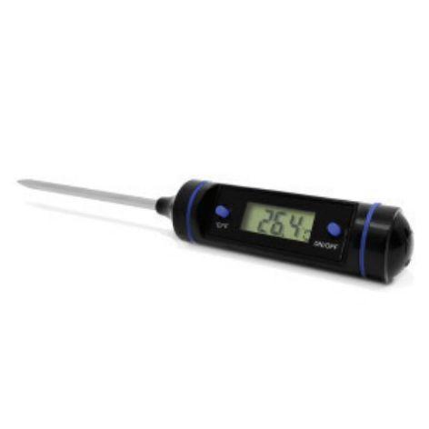 Thermometer for sterilization process