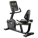 Endurance LED recumbent bike
