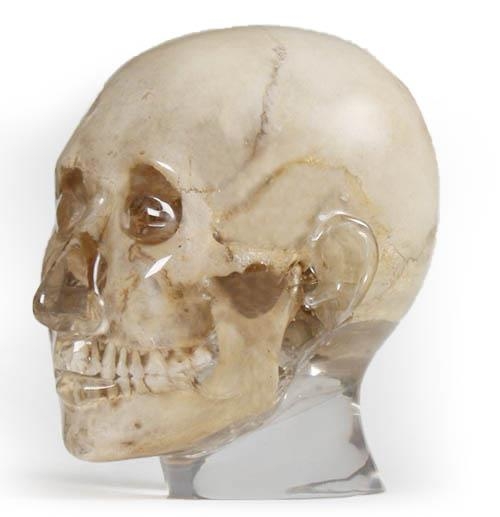 [119-735] Model - Radiology test phantom - Head