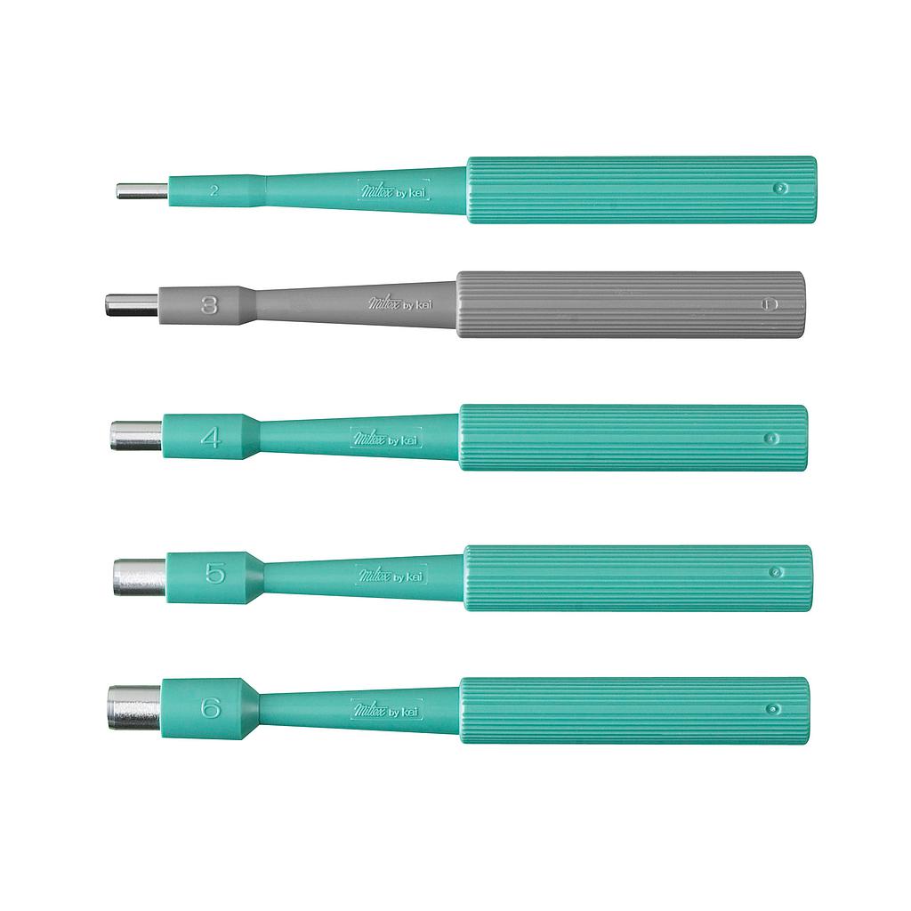 Assorted biopsy punch set