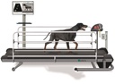 Système de tapis roulant FDM-TPROF CanidGait d'analyse de la position et de la démarche pour chiens