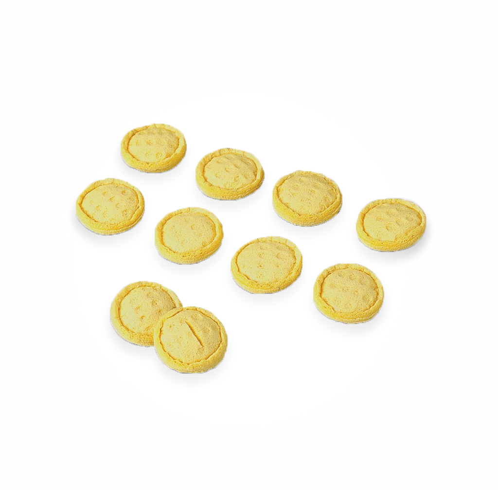 [100-477] Sponges for pen electrode