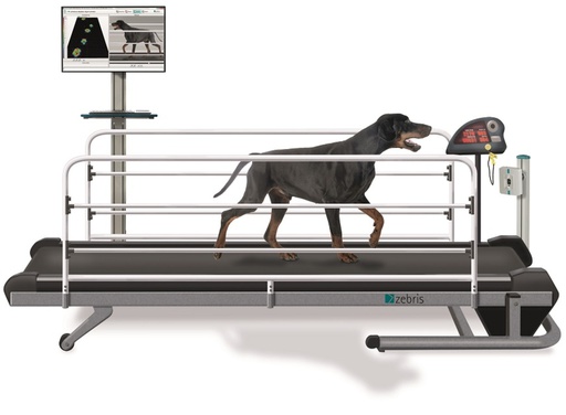 [121-960] Système de tapis roulant FDM-TPROF CanidGait d'analyse de la position et de la démarche pour chiens